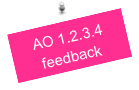 AO 1.2.3.4
feedback